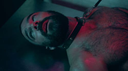 For Your Gods Bild 2