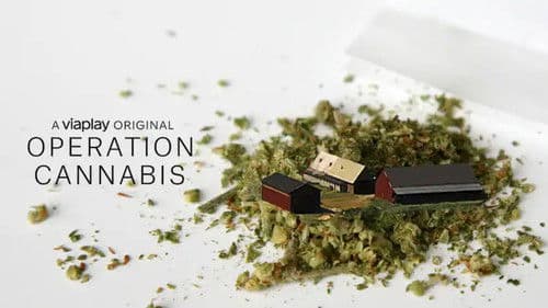 Operation Cannabis Bild 3