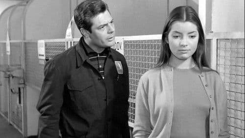 Tutti Innamorati Bild 7