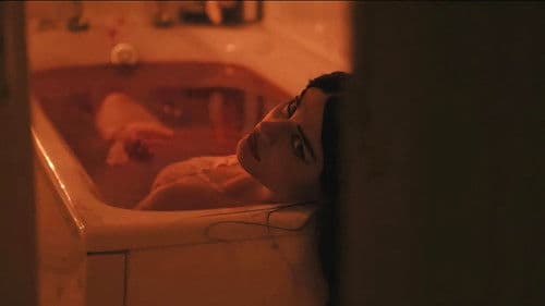 The Fox and The Rabbit Bild 3