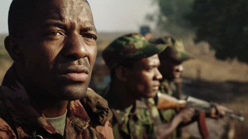 Comboio de Sal e Açucar Bild 3