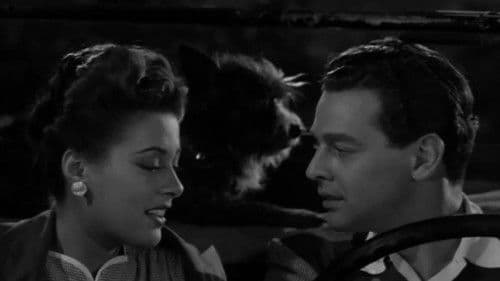 The Mummy's Ghost Bild 7