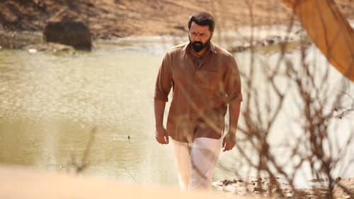 ടിയാൻ Bild 6