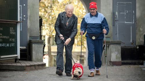 The Stig-Helmer Story Bild 1