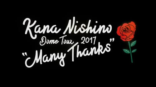 Kana Nishino Dome Tour 2017 Many Thanks Bild 1