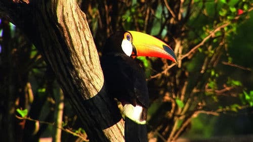 Planet HD - Südamerika Bild 1