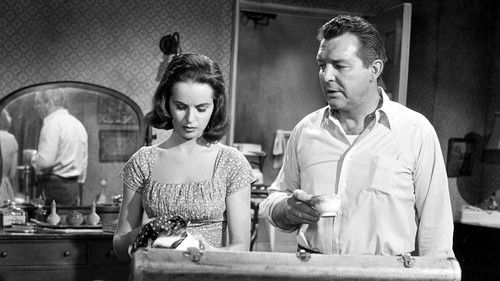 Live Fast, Die Young Bild 5