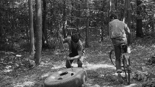 Viața în roz Bild 4