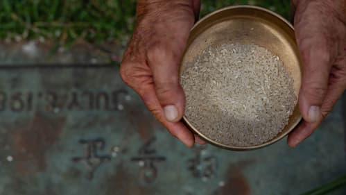 하와이 연가 Bild 7