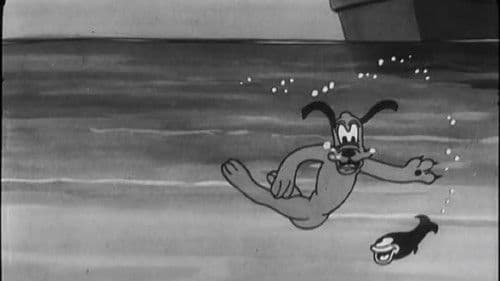 Der Angelausflug Bild 1