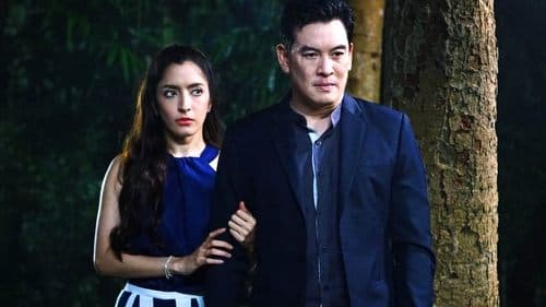 Sleepless Society: Bedtime Wishes Bild 1