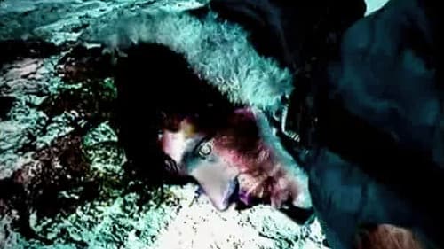 The Last Broadcast Bild 2