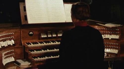 Babel - lettre à mes amis restés en Belgique Bild 3