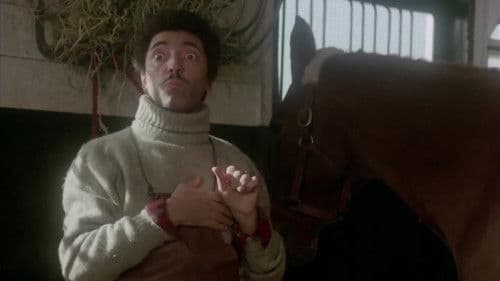 Ramba Zamba bei der Mafia! Bild 5