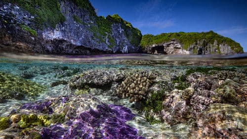 Niue – Hoffnung für ein Paradies Bild 5