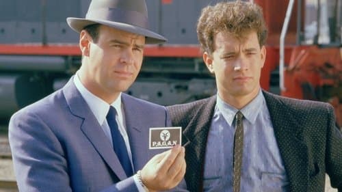 Schlappe Bullen beißen nicht Bild 1