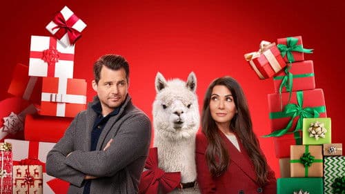 We Wish You a Married Christmas Bild 3