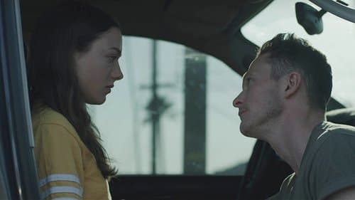 Palm Trees and Power Lines Bild 1