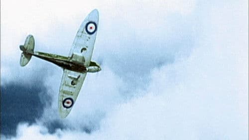 Das war der 2. Weltkrieg Bild 3