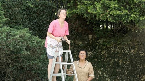 Der Sommer mit Mamã Bild 8