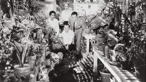 Die Dämonischen Bild 1