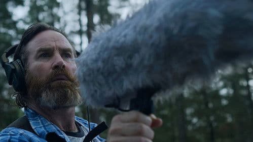 Within the Pines Bild 1