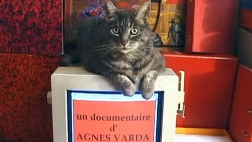 Hommage à Zgougou (et salut à Sabine Mamou) Bild 1