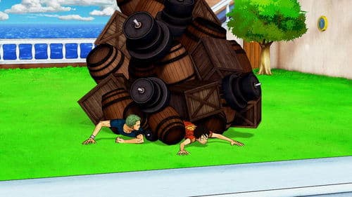 One Piece: 3D Strohhutjagd Bild 2