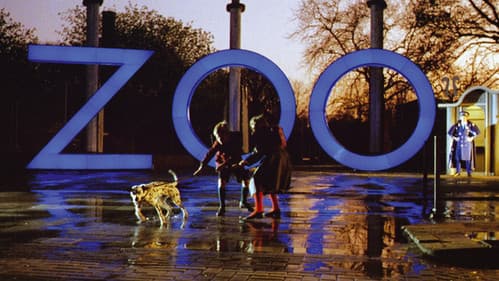 Ein Z und zwei Nullen Bild 2