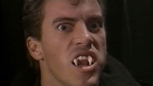 Shadows in the Dark Bild 1