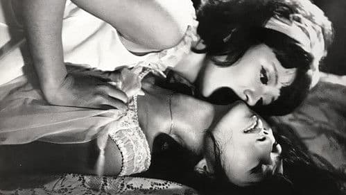 二匹の牝犬 Bild 1