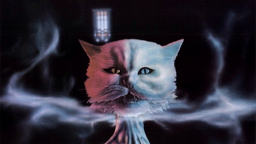 Das Haus des Satans Bild 4