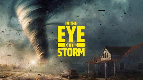 In the Eye of the Storm Bild 2