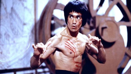 I Am Bruce Lee Bild 2