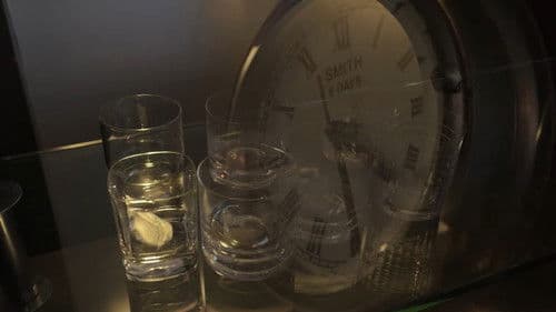 Western Falopa Bild 6