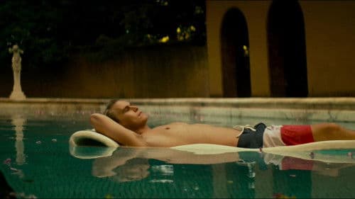 American Pets Bild 3