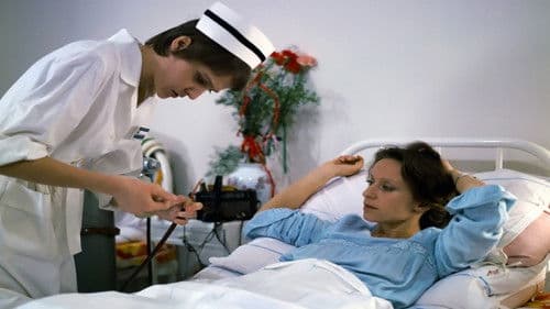 Układ krążenia Bild 4