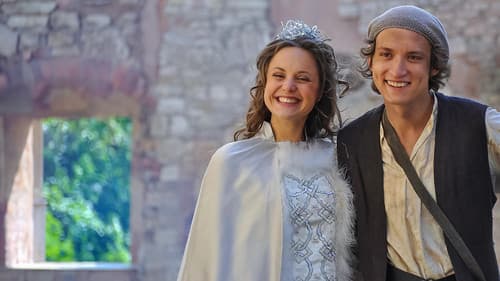 Der Teufel mit den drei goldenen Haaren Bild 1