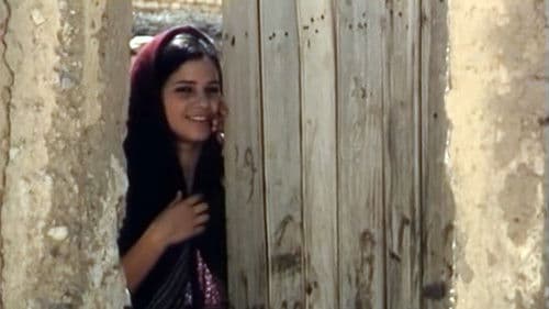 L'Olivier de Boulhilet Bild 2