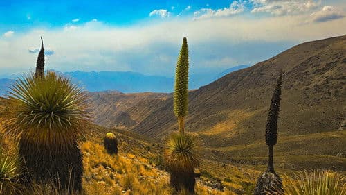 Oasen: Inseln des Lebens Bild 1