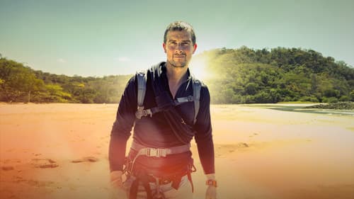Bear Grylls: Stars am Limit - Die Challenge Bild 3