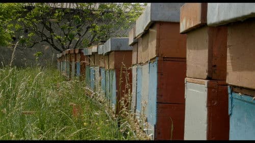 Una passione dirompente Bild 2