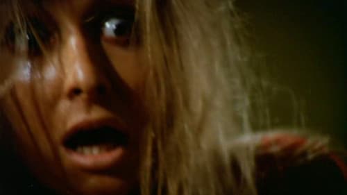 Night of Fear Bild 1