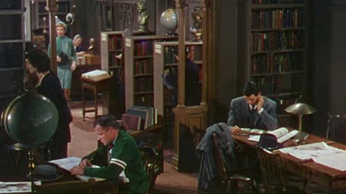 Hat jemand meine Braut gesehen? Bild 7