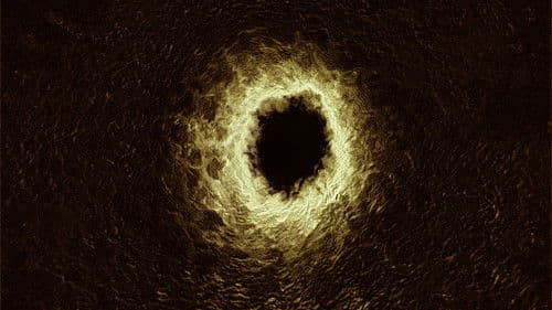 Sleep Has Her House Bild 6