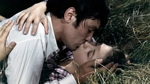 Der Sträfling und die Witwe Bild 5