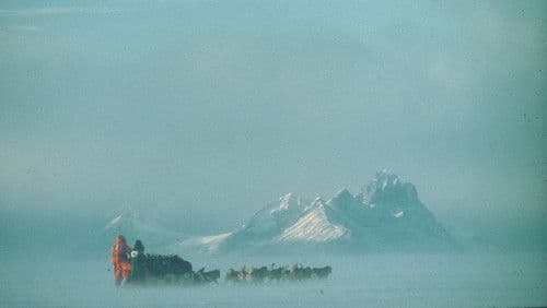 Au Sud du Sud Bild 1