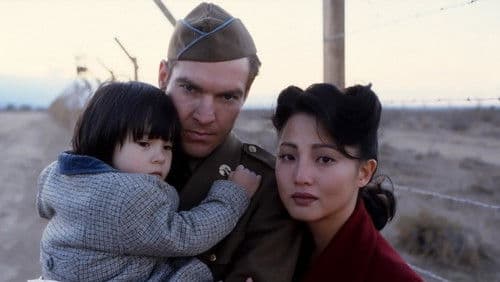 Komm und sieh das Paradies Bild 4