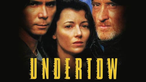 Im Auge des Hurricane Bild 6