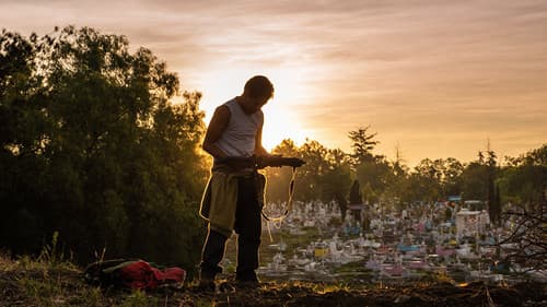 Meister des Todes 2 Bild 2